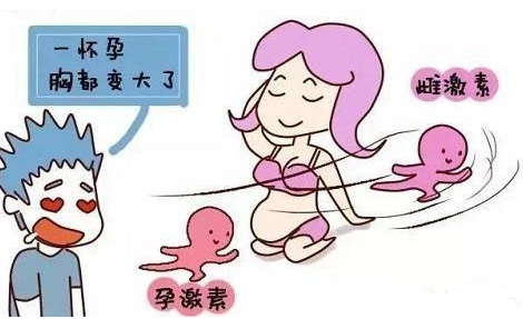 孕早期,孕妈会有哪些感受