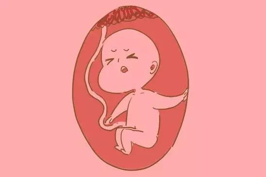 宝宝在肚子里品尝羊水