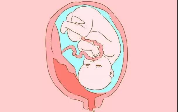 宝宝在肚子里玩脐带